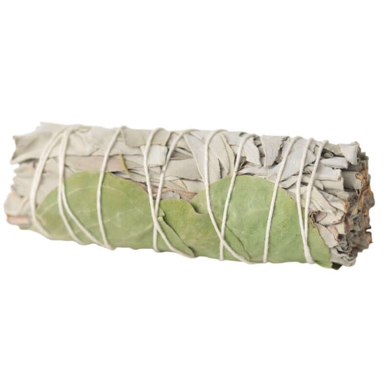 Bundled sage with eucalyptus leaves on a white background