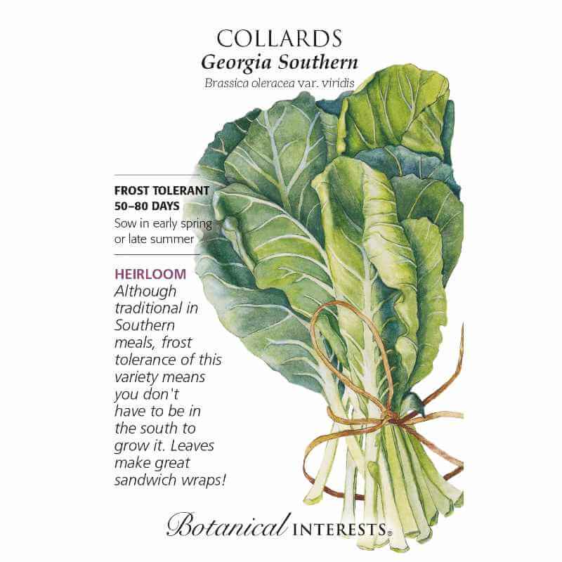 seed pack with drawing of a bunch of collard greens