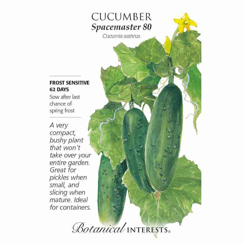 image of seed packet with drawing of cucumber plant with cucumbers