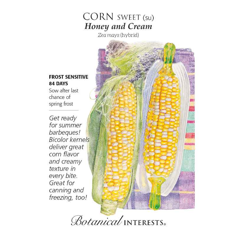 image of seed packet with drawing of two ears of corn with husks pulled back showing white and yellow corn kernels on the cobs.  Company logo and seed information printed in black type