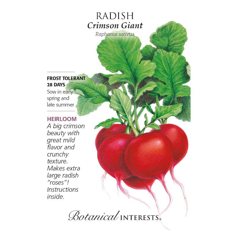 image of seed packet with drawing of a bunch of bright red round radishes with ruffled green leaves and stems.  Logo and seed info printed in black ink