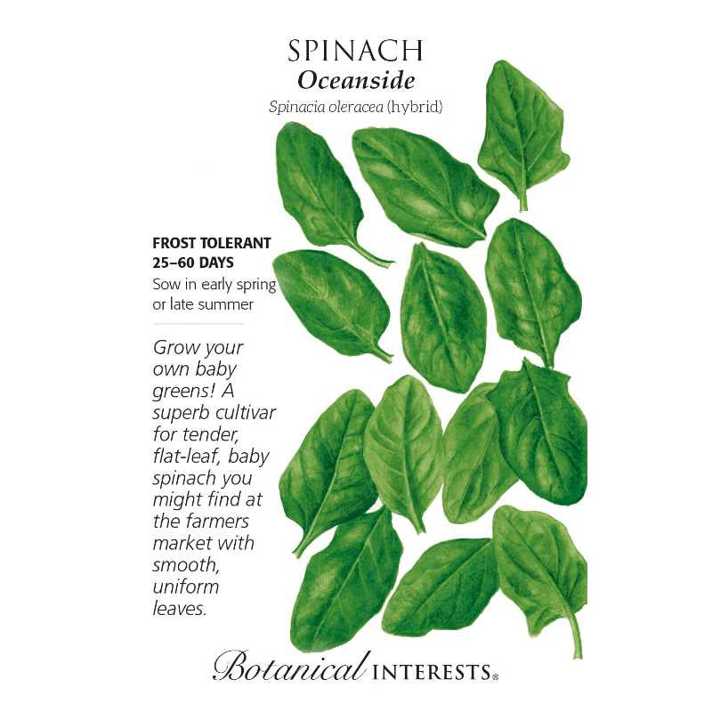 image of seed packet with drawing of several individual green oblong spinach leaves.  logo and seed description in black type