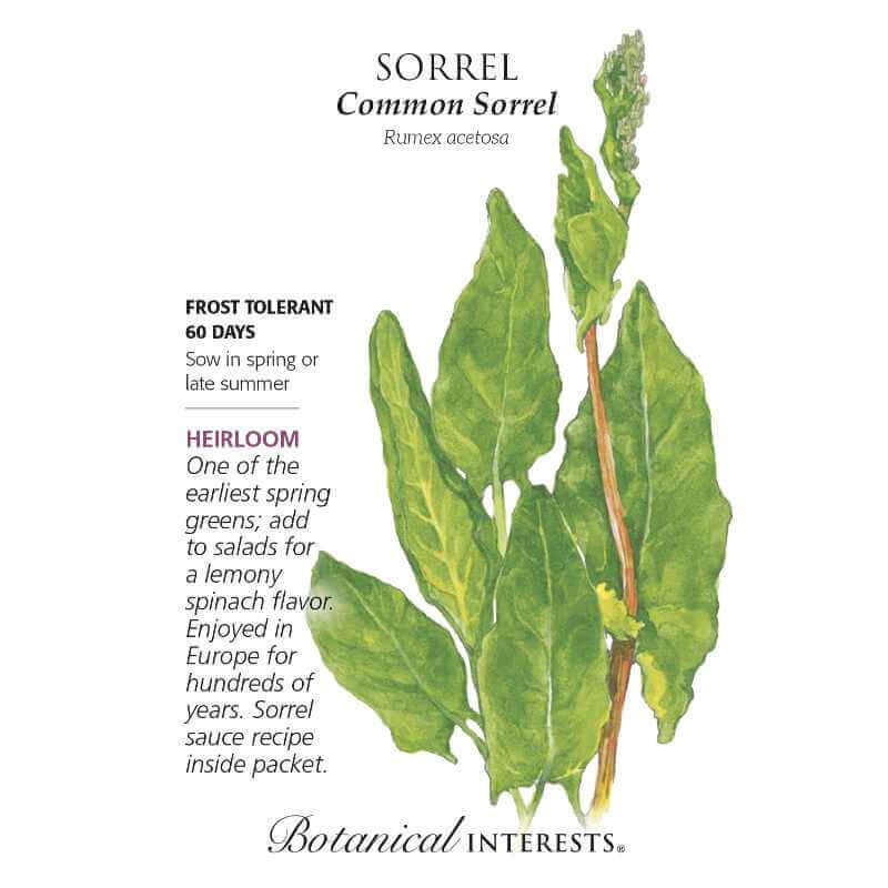 image of seed packet with drawing of several oblong pointed spade shaped leaves in medium to bright green.  logo and seed info in black type
