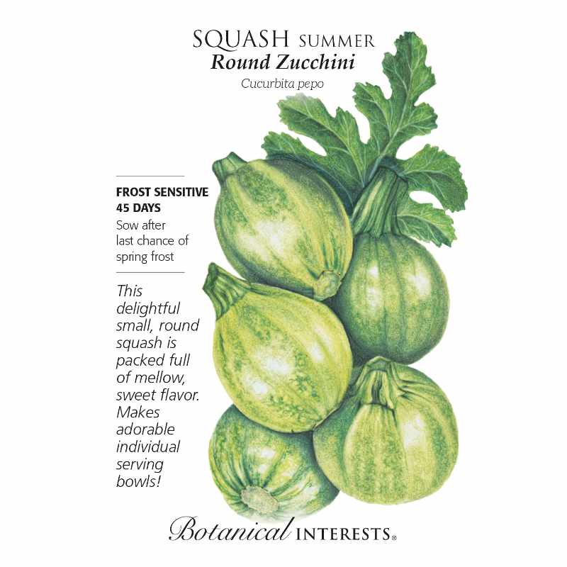 seed pack with drawings of round green squash