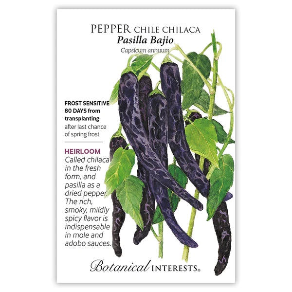 image of seed packet with drawing of green pepper vines with several oblong narrow purple peppers