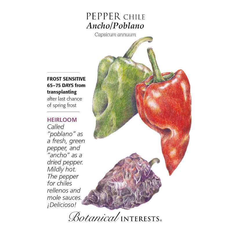 Seed pack with colorful drawings of peppers