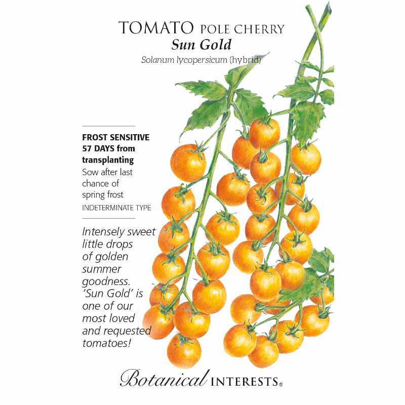 seed pack with drawing of cascading yellow cherry tomatoes