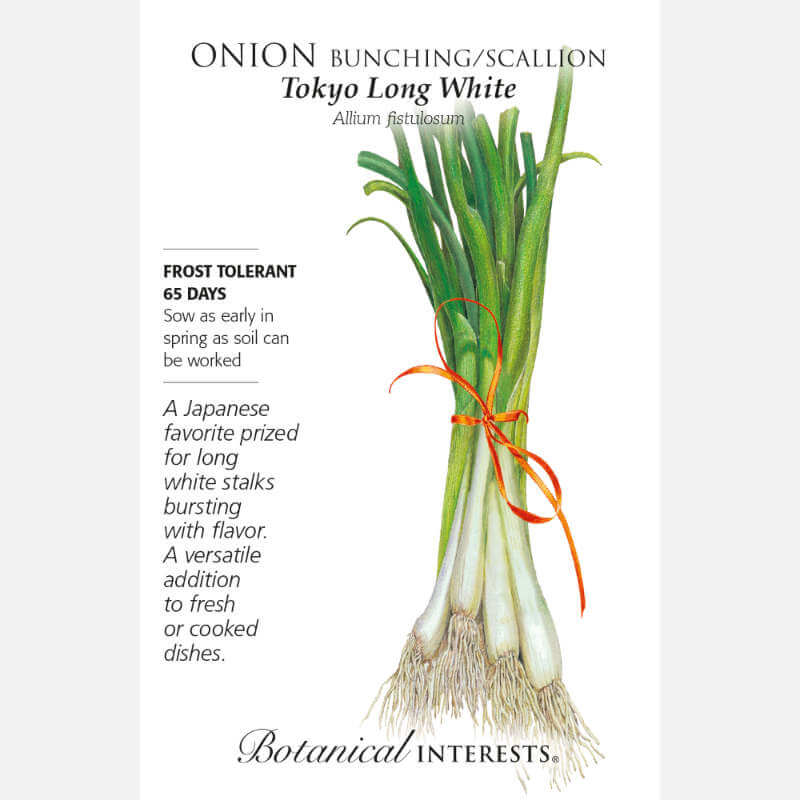 image of seed packet with a bundle of green onions tied with a red ribbon