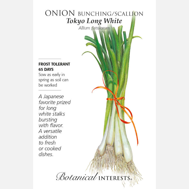 image of seed packet with a bundle of green onions tied with a red ribbon