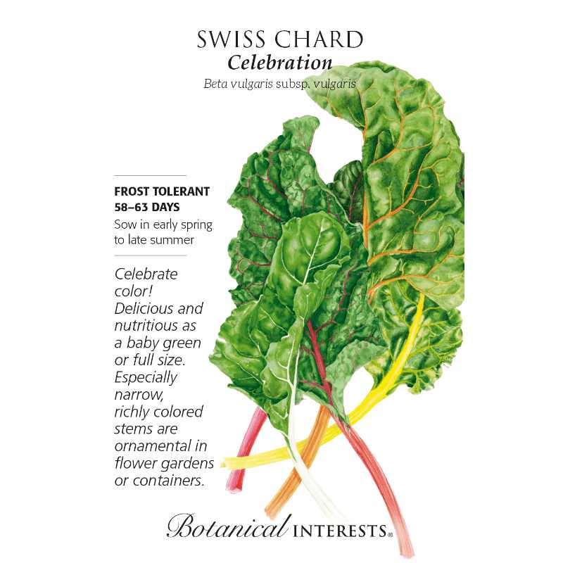 seed pack with drawing of swiss chard leaves with colorful stems