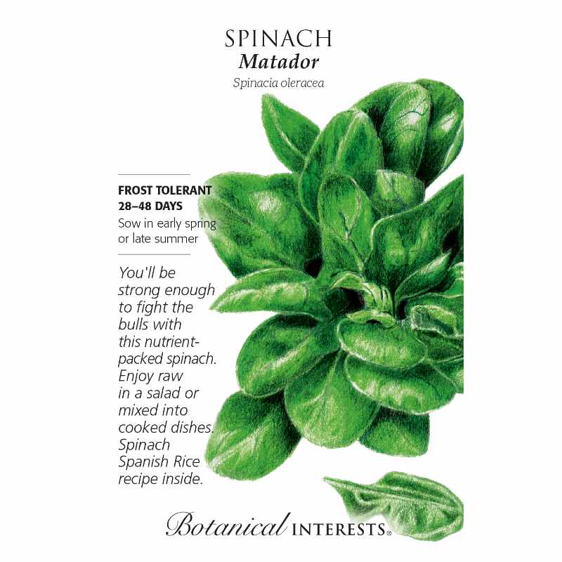 image of seed packet with drawing of a bunch of spinach leaves, oblong green oval leaves.  Loog and seed info in black type