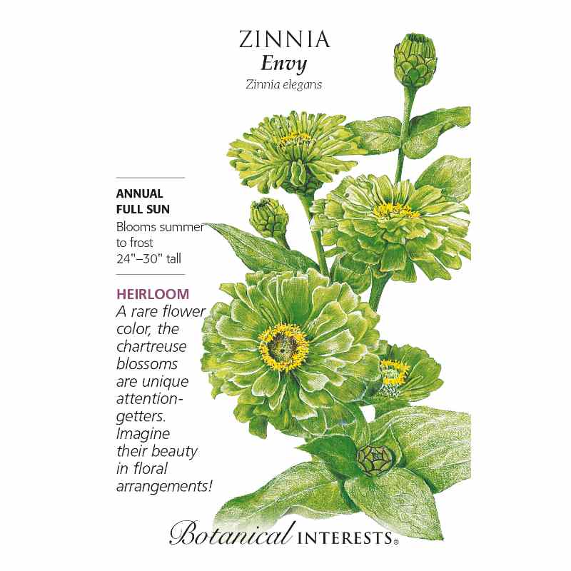 seed packet with drawings of chartreuse green zinnia blooms