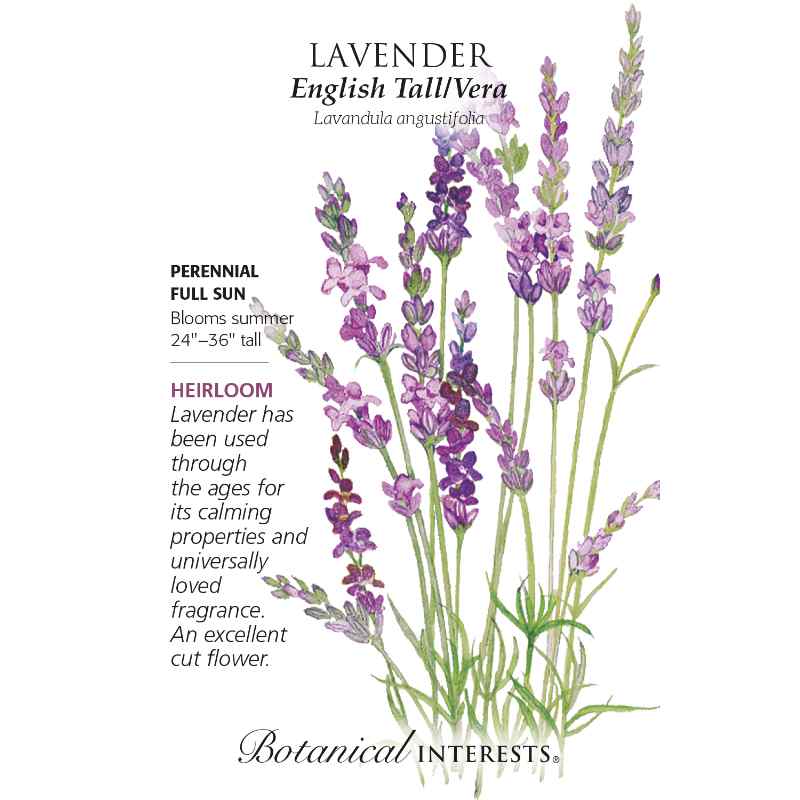 seed pack with drawing of lavender blooms