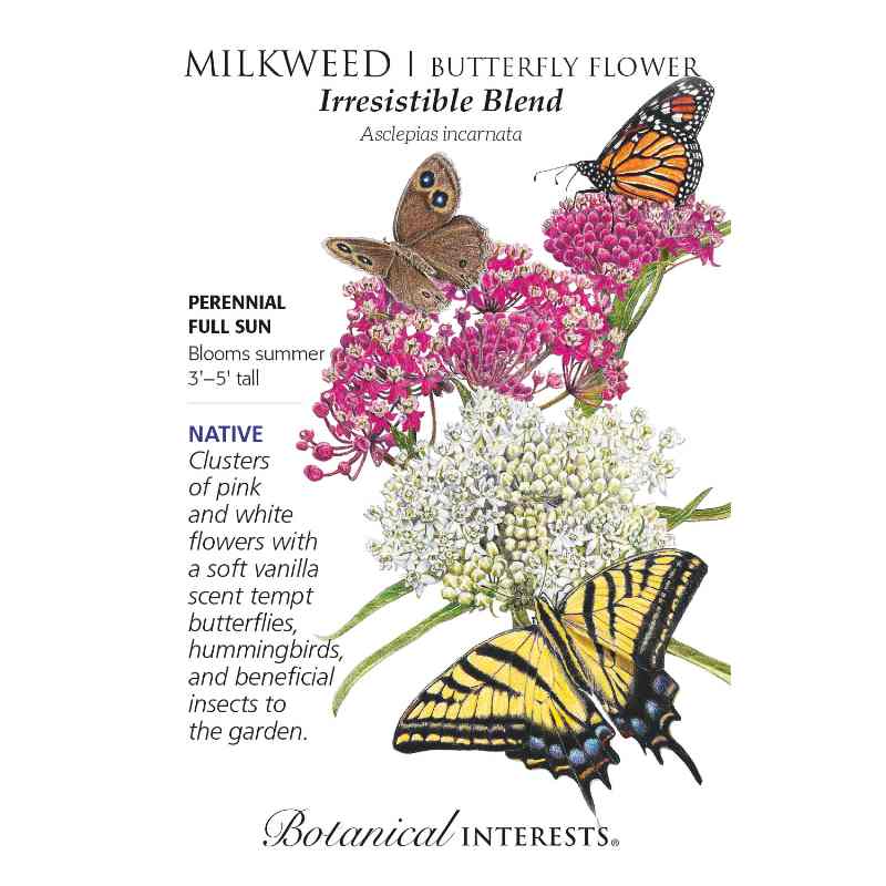 image of seed packet with drawing of midweek plants with several flowers consisting of many tiny blossoms in both white and pink red varieties.  A variety of three different butterflies are sitting on the flowers.  logo and seed info in black type