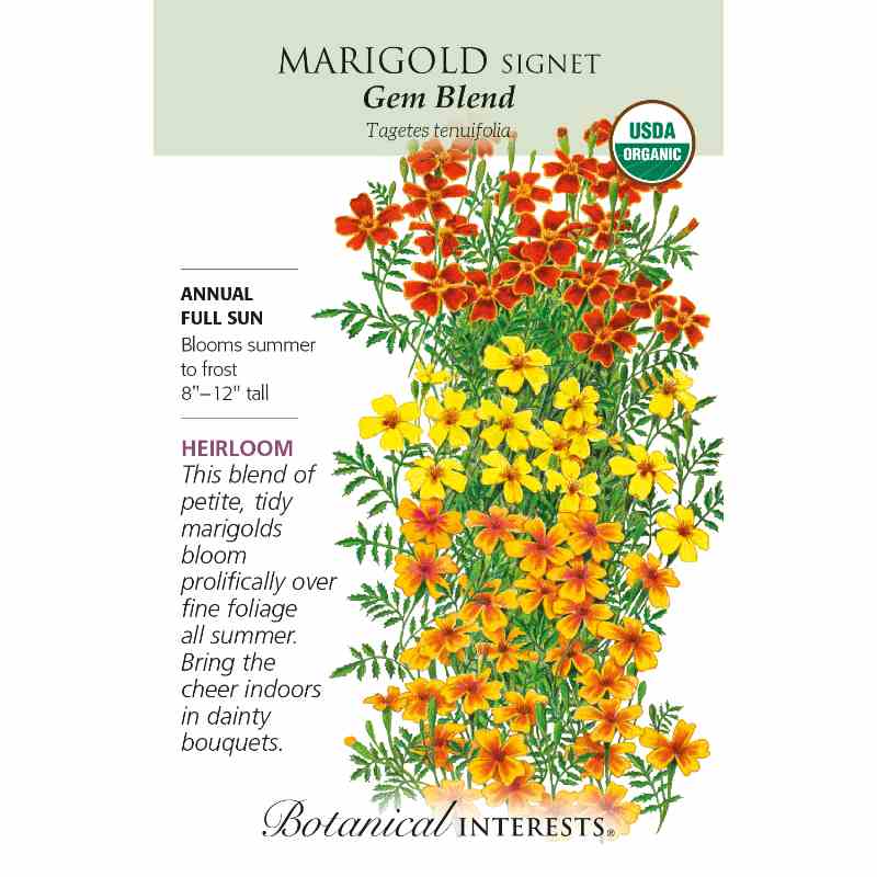 image of seed packet with USDA organic logo in the upper right and a drawing of a large bunch of marigold plants in dark orange, yellow, and yellow-orange colors.