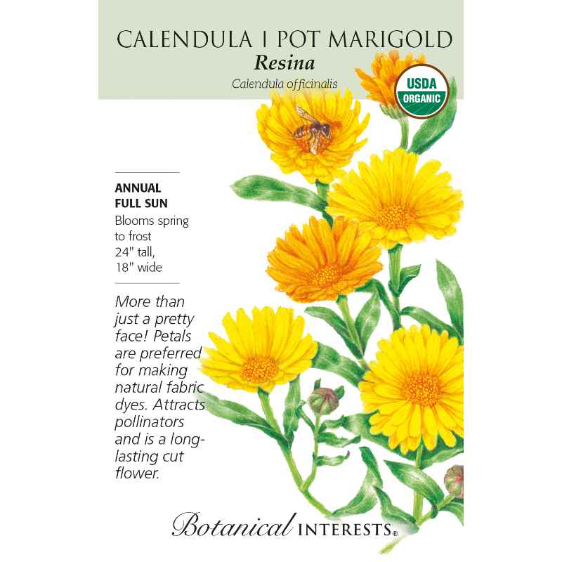 seed pack with drawing of bright yellow blooms