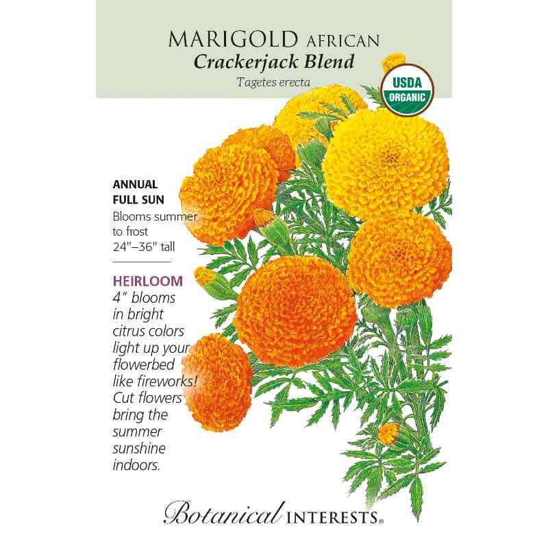 image of seed packet with drawings of several large blossomed marigolds in deep yellow to orange color with green stems and tiny green leaves.  logo and seed info in black type.  USDA organic logo in upper right corner