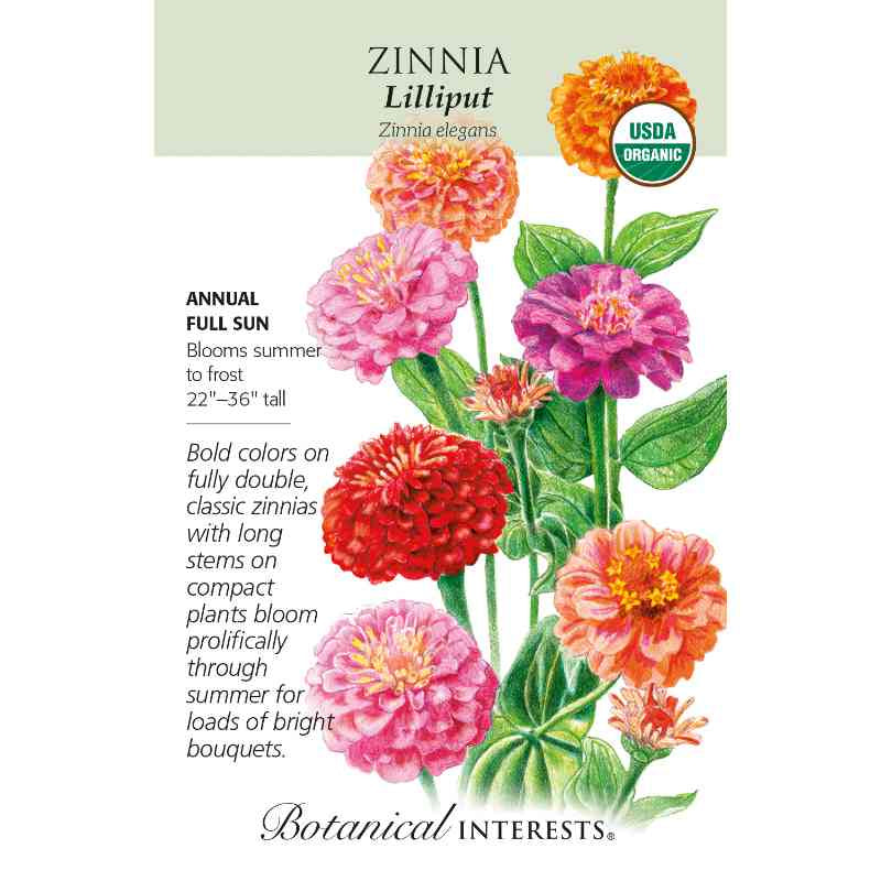 image of seed packet with drawings of several zinnia flowers with tall green stems and large multi petaled blossoms in orange pink and red.  pointed green leaves.  logo and seed info in black type.  USDA organic logo in upper right corner
