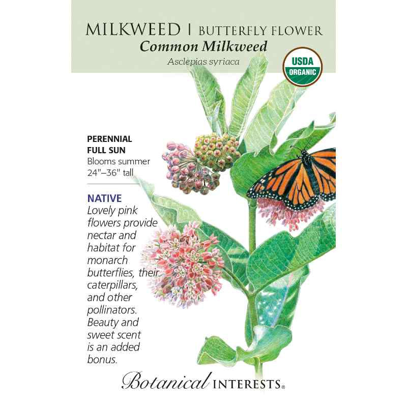 seed pack with drawing of milkweed bloom and monarch butterfly