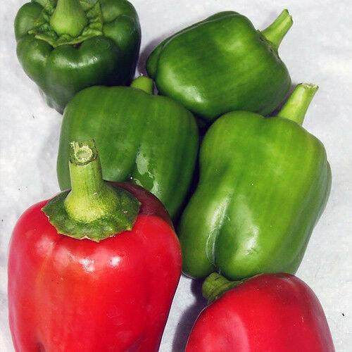 image of six bell peppers.  Two in front are red and back four are green