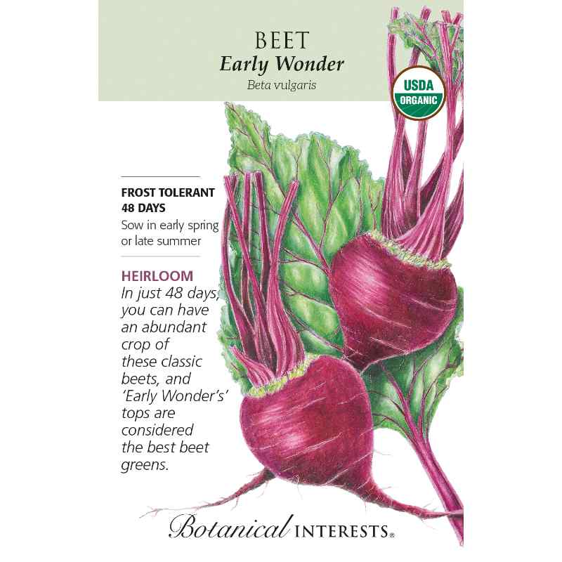 image of seed packet with drawing of two dark red beets with red stems and green leaves with red veining.  logo and seed info in black type.  USDA organic logo in upper right corner