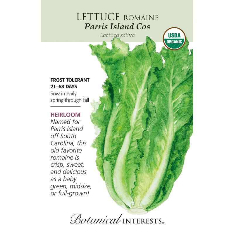 image of seed packet with drawing of lettuce with long leaves, light green ribs and darker green leaves.  logo and seed info in black type.  USDA organic Logo in upper right corner