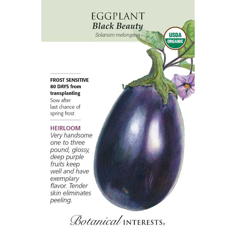 Seed pack with drawing of dark purple eggplant