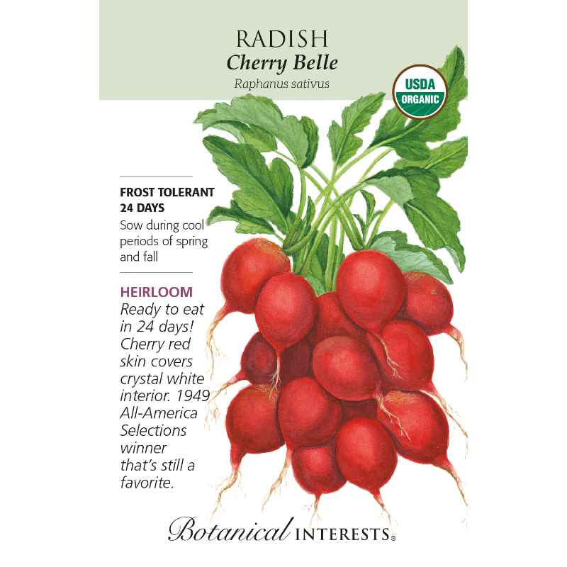 image of seed packet with drawing of a clump of many bright red globe shaped radishes with green stems and lobed green leaves.  logo and seed info in black type.  USDA organic logo in upper right corner