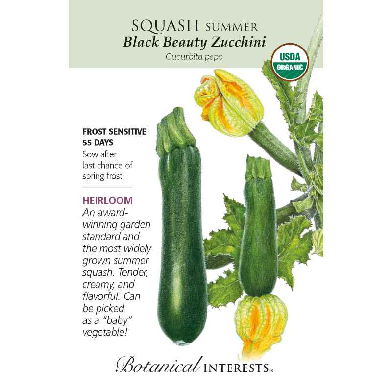 seed pack with drawing of zucchini and zucchini plant