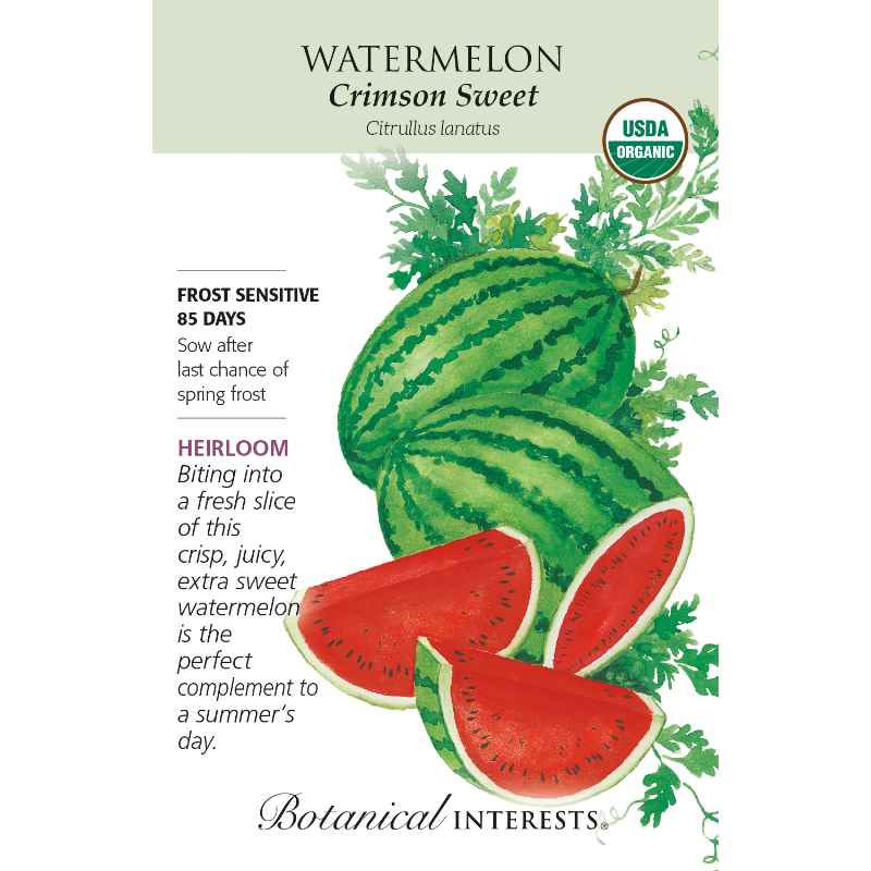 image of seed packet with drawing of an oblong watermelon with light and dark green stripes, and another one that has been cut open, showing bright red flesh and black seeds, and two slices of cut watermelon in front of it.  logo and seed info in black type.  USDA organic logo in upper right corner