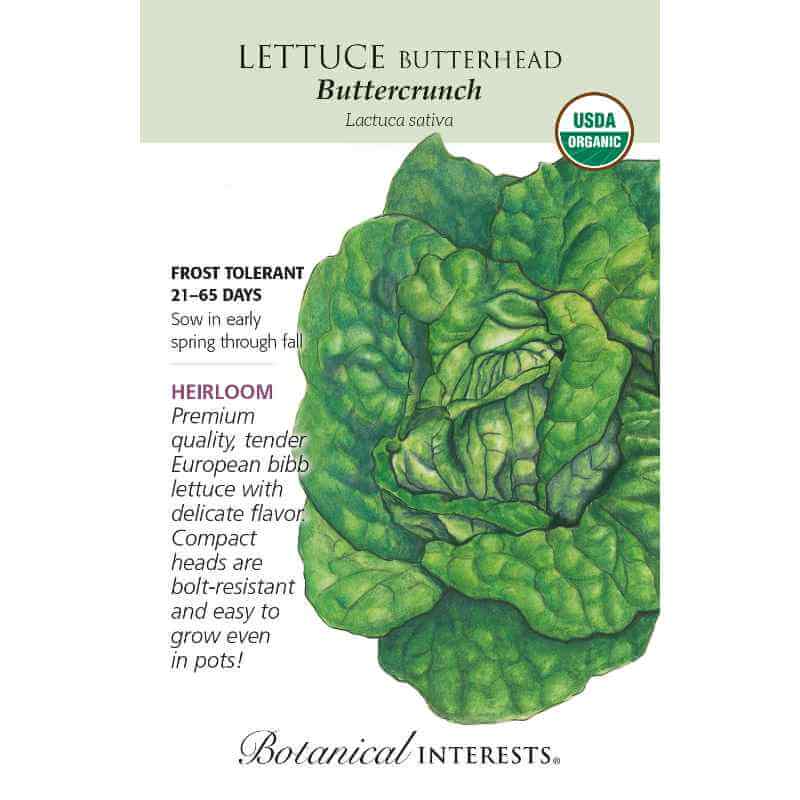 image of seed packet with drawing of a head of lettuce with rounded rippled green leaves.  logo and seed info in black type.  USDA organic logo in upper right corner