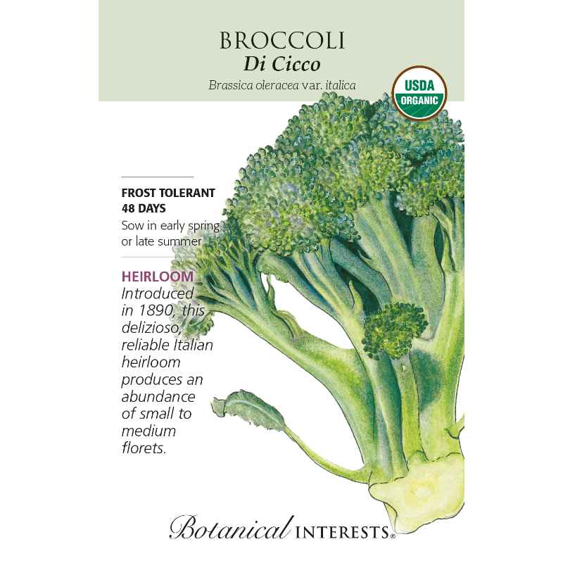 seed pack with drawing of harvested head of broccoli