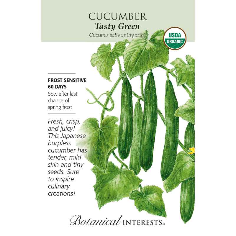 seed pack with drawing of thin cucumbers on vines