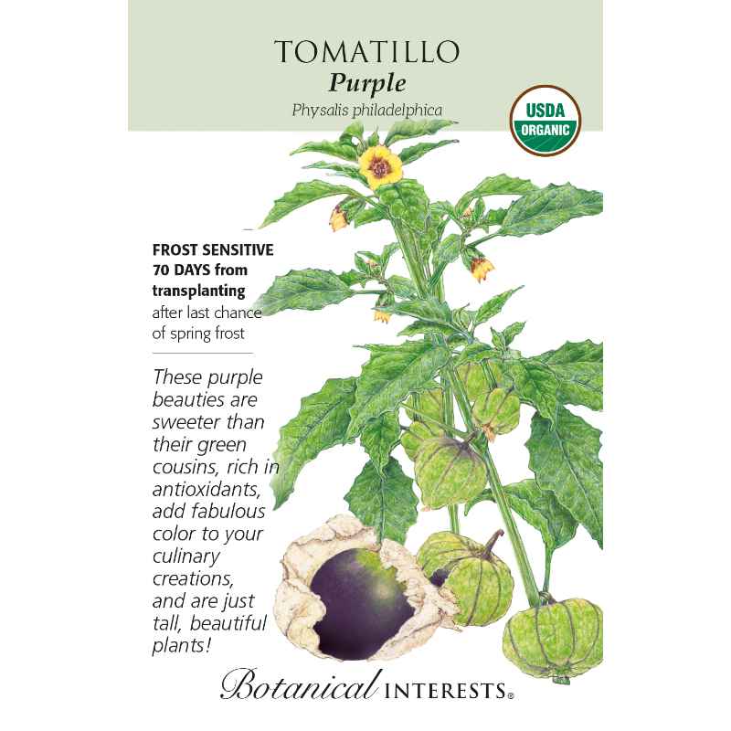 seed packet with drawing of tomatillo plant and harvested purple tomatillo