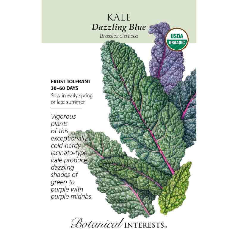 image of a seed packet with a drawing of several kale leaves in greens and purples, with very bumpy surfaces, and the logo and seed info in black