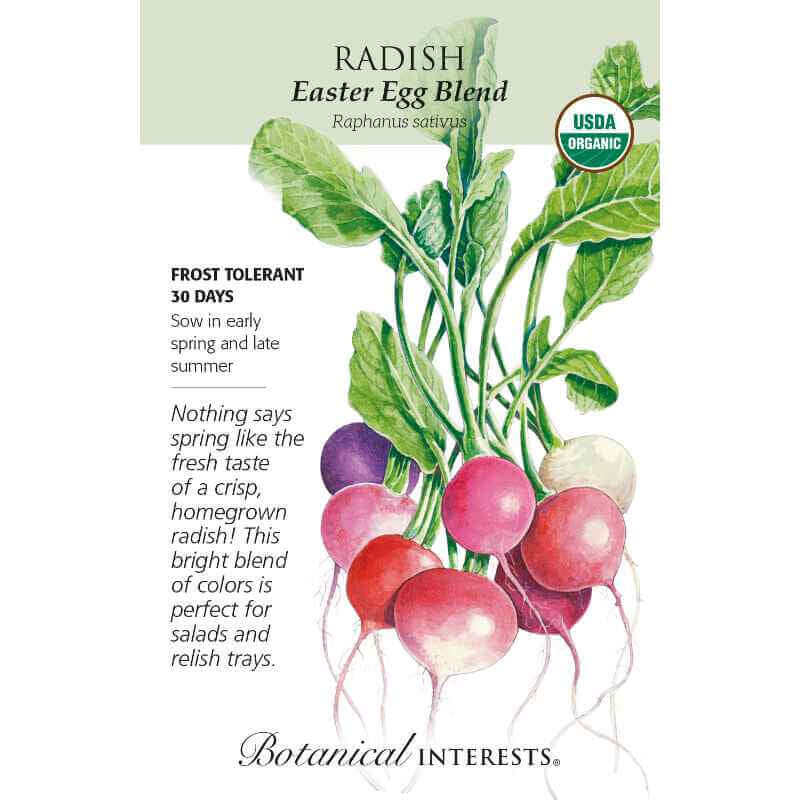 Color Code Radish Easter Egg Blend Radish Organic Seeds