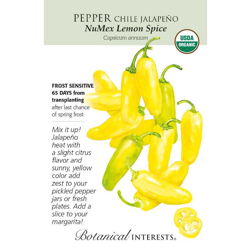 image of seed packet with drawing of several long bright yellow jalapeño peppers.  logo and seed info in black type.  USDA organic logo in upper right corner