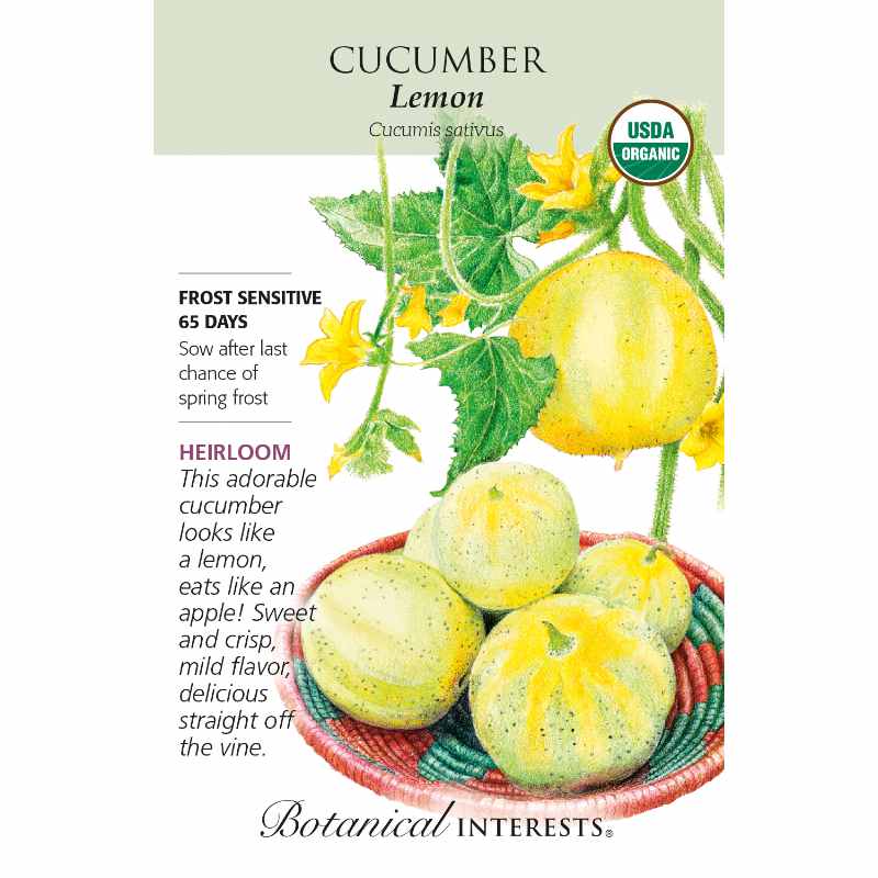 image of seed packet with drawing of several globe shaped lemon cucumbers in yellow color.  Green leaves and small yellow blossoms.  logo and seed info in black type.  USDA organic logo in upper right corner