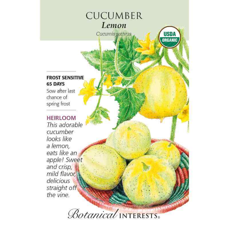 image of seed packet with drawing of several globe shaped lemon cucumbers in yellow color.  Green leaves and small yellow blossoms.  logo and seed info in black type.  USDA organic logo in upper right corner