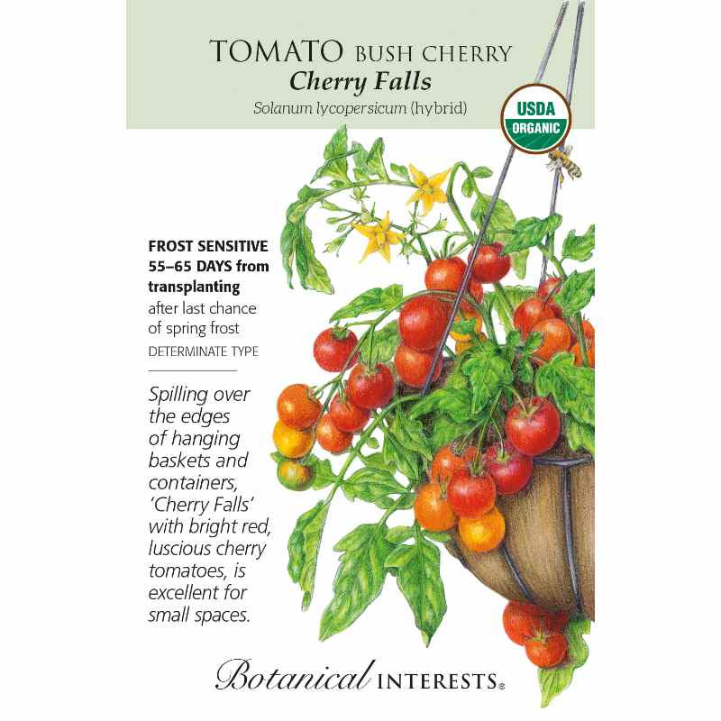 image of seed packet with a drawing of an iron and coir hanging basket with a tomato plant in it, sporting many cherry sized tomatoes in yellow to red colors, along with vines and leaves in green and small yellow blooms.  logo and seed info in black type.  USDA organic logo in upper right corner