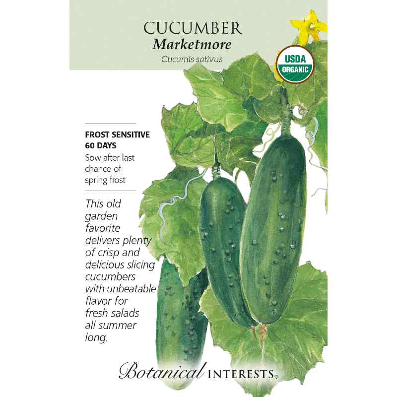 image of seed packet with drawing of a vine with large green leaves and three medium sized green cucumbers with bumpy skin.  logo and seed info in black type.  USDA organic logo in upper right corner