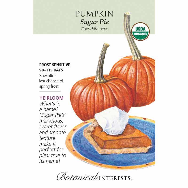 seed pack with drawing of two small pumpkins and a piece of pumpkin pie