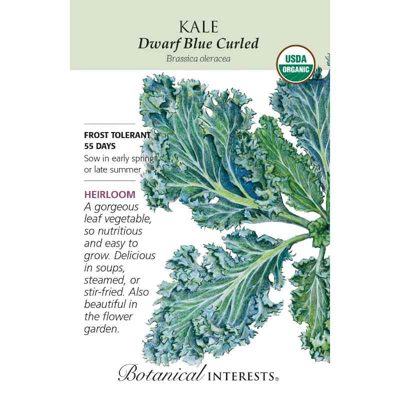 image of seed packet with drawing of several highly curled and veined grey green kale leaves.  logo and seed info in black type.  USDA organic logo in upper right corner