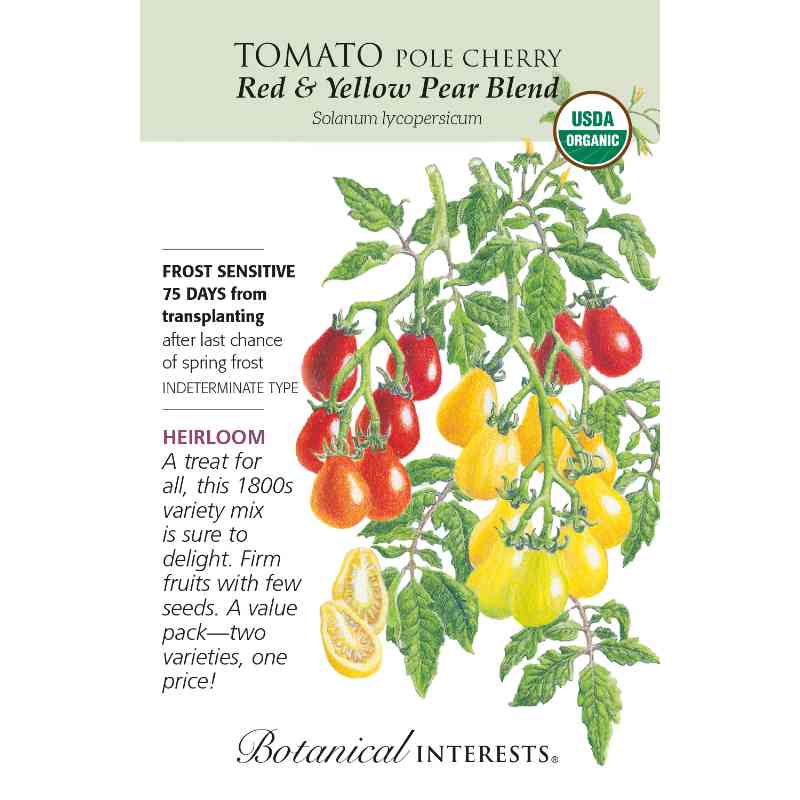 seed pack with drawing of red and yellow tomatoes on vine