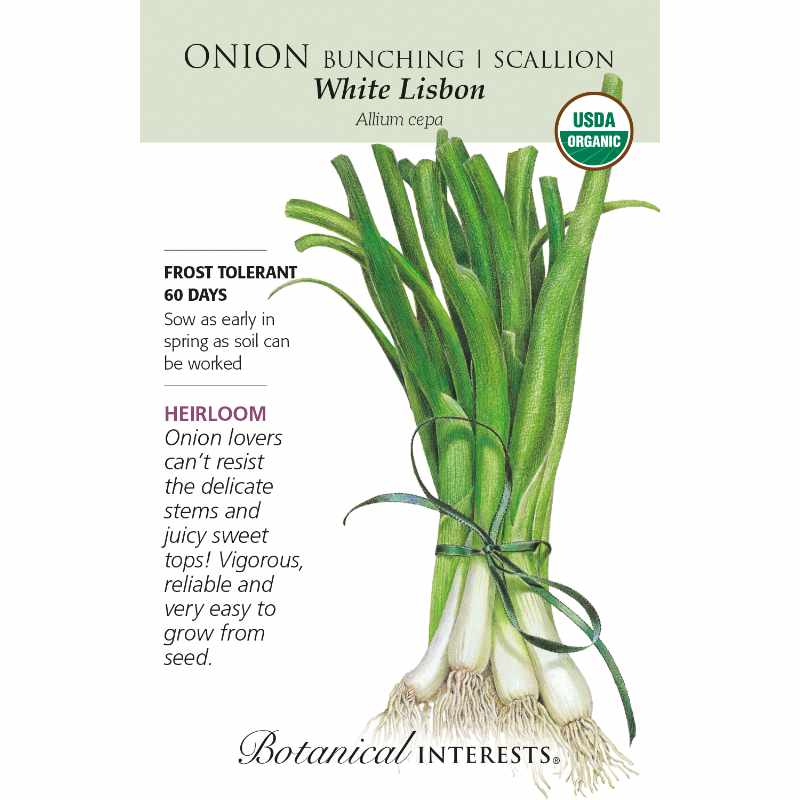seed pack with drawing of a bunch of scallion onions