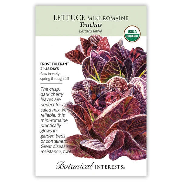 image of seed packet with drawing of lettuce heads with oval leaves in deep cherry color with light green veining