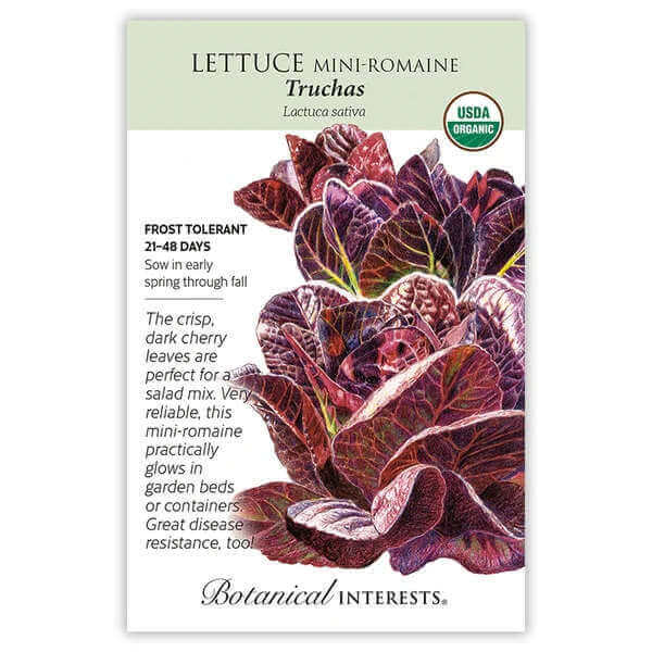 image of seed packet with drawing of lettuce heads with oval leaves in deep cherry color with light green veining