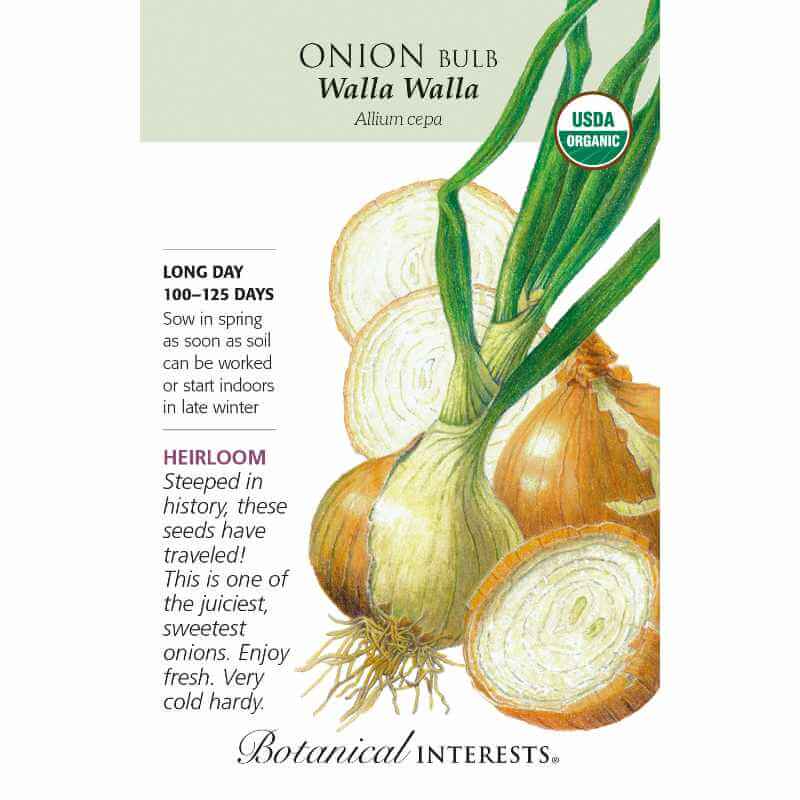 seed pack with drawing of onion bulbs