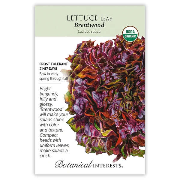image of seed packet with drawing of a head of lettuce with wavy multi color leaves