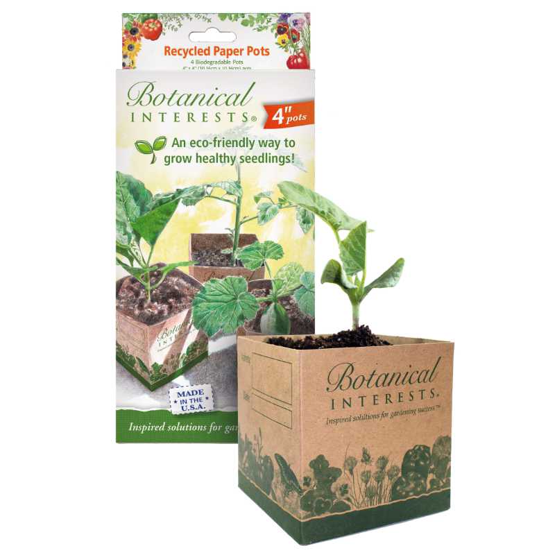 image of product box with planted paper box in front